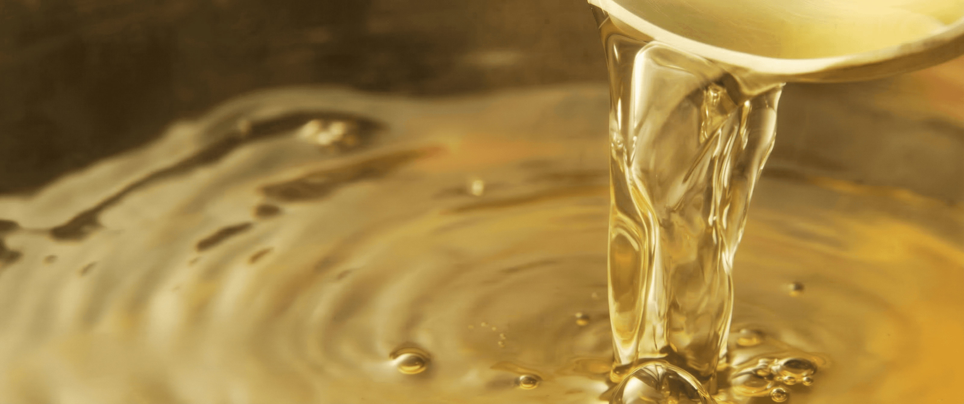 AI Dashi hero visual